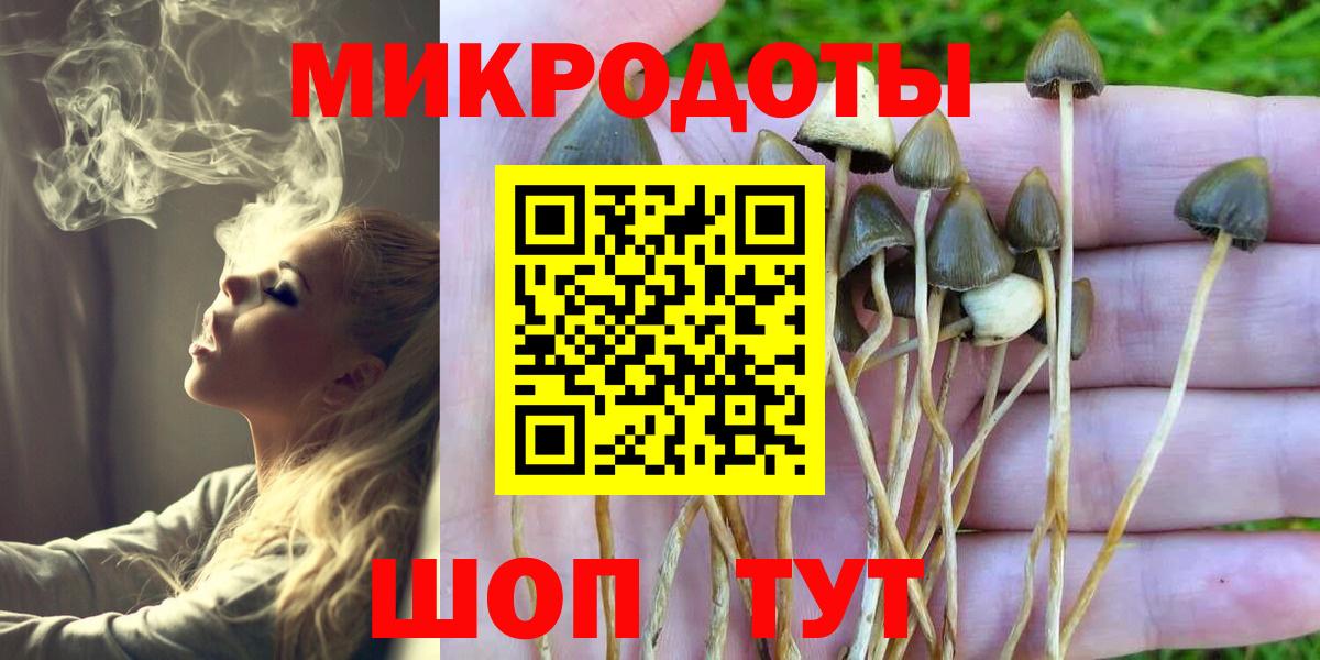 Галлюциногенные грибы Psilocybe Тавда