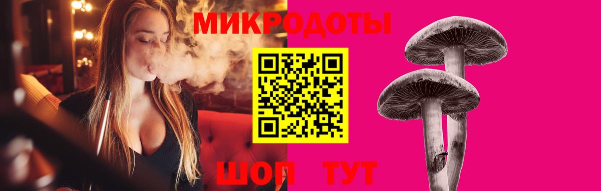 Тавда  как найти закладки  Вход с VPN  Псилоцибиновые грибы Psilocybe 