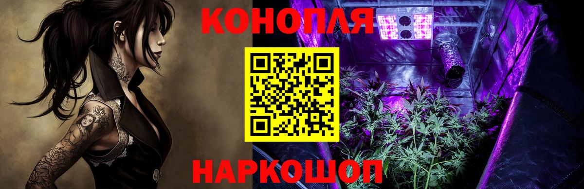 Тавда  Марихуана планчик  Вход с VPN  Конопля конопля  Бошки марихуана индика 